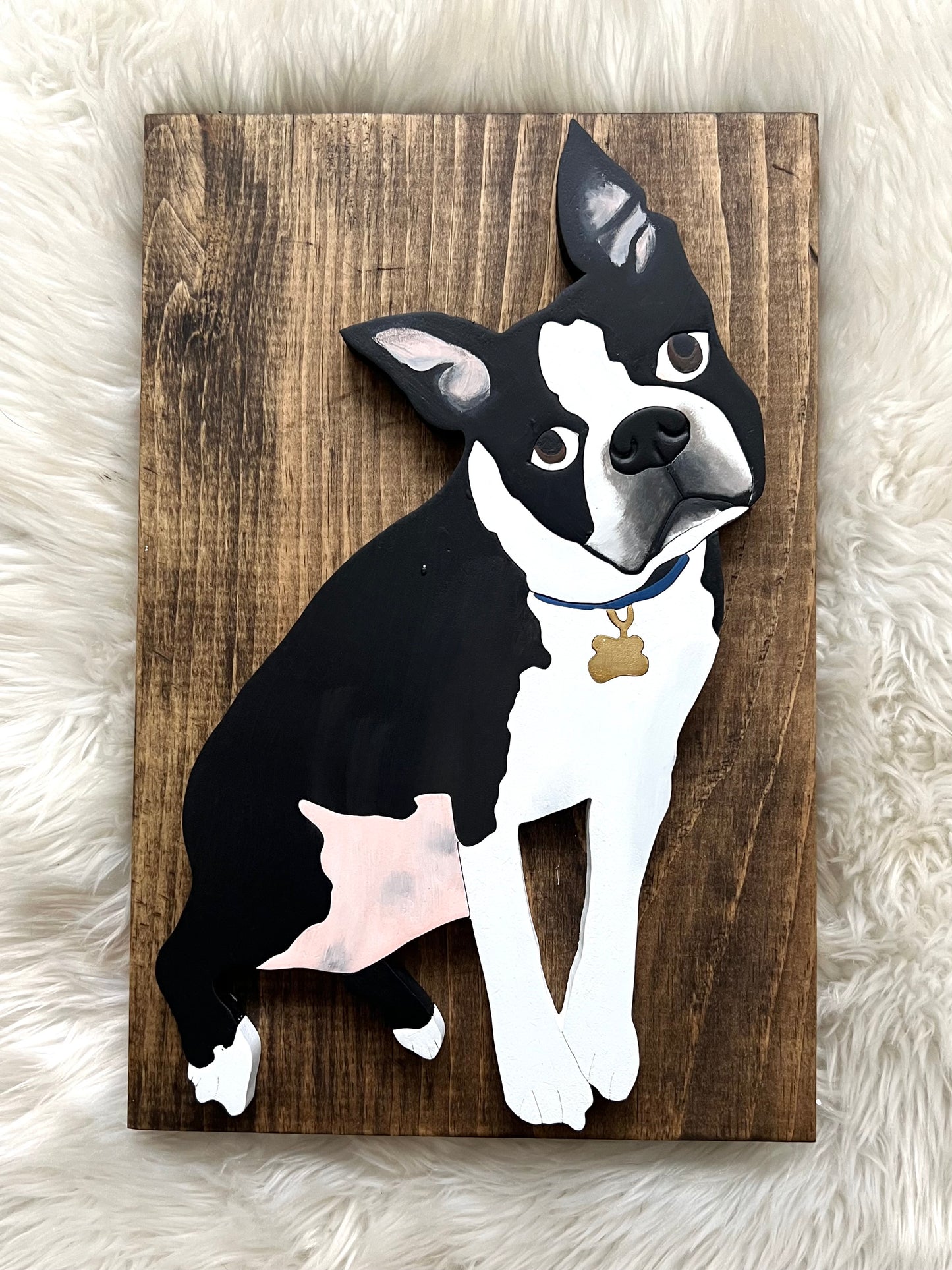 Pet Portrait