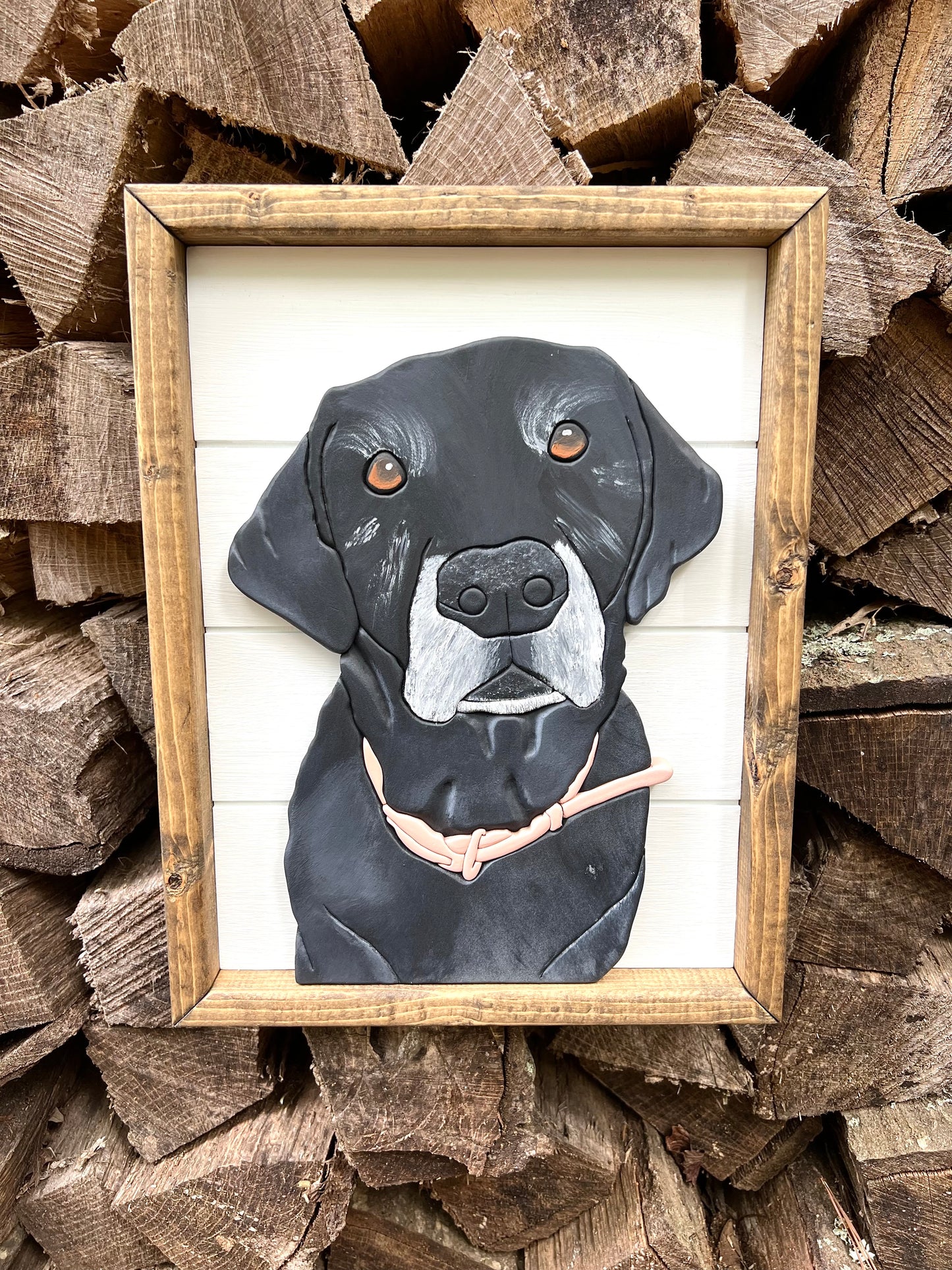Pet Portrait
