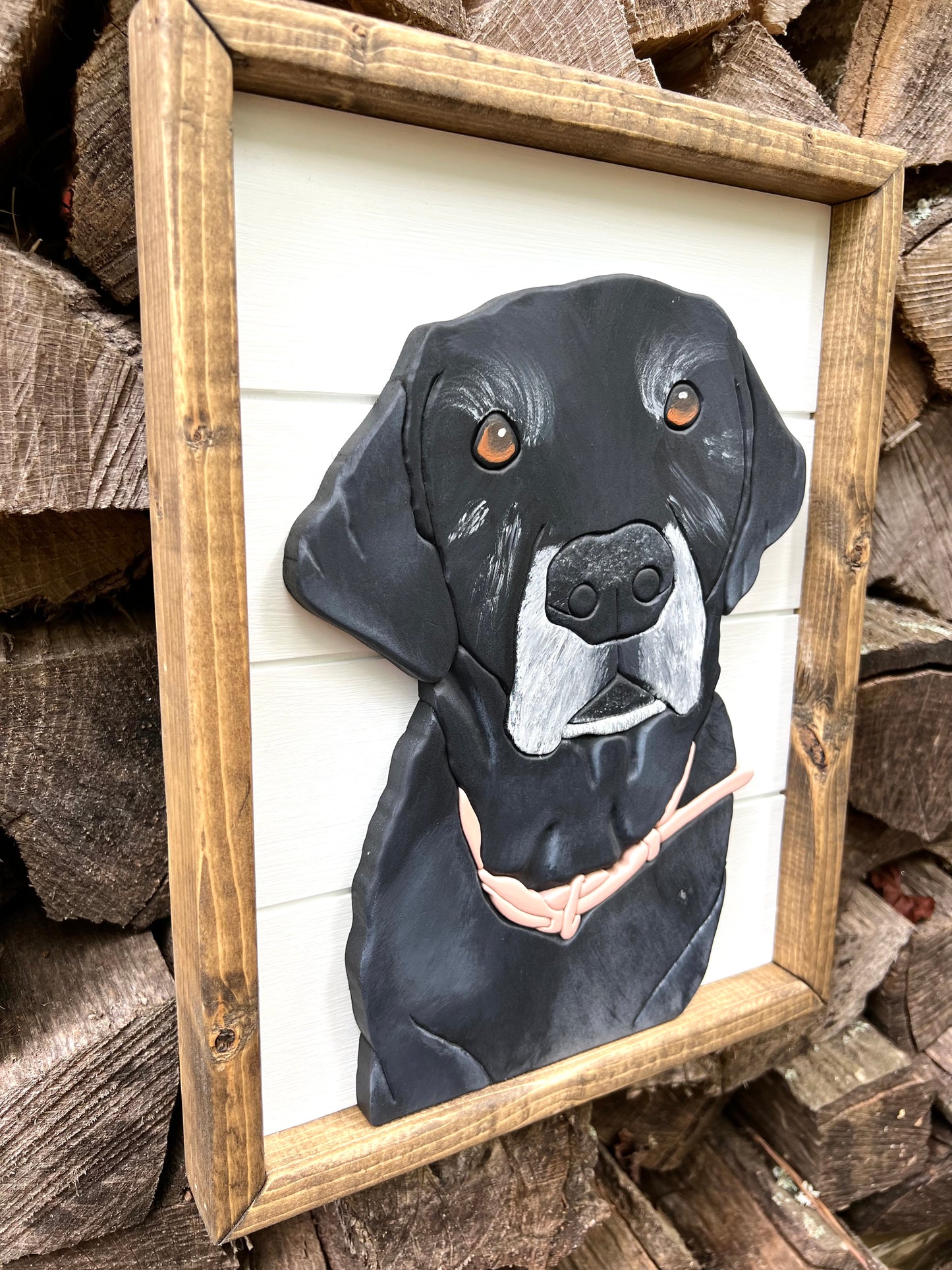 Pet Portrait